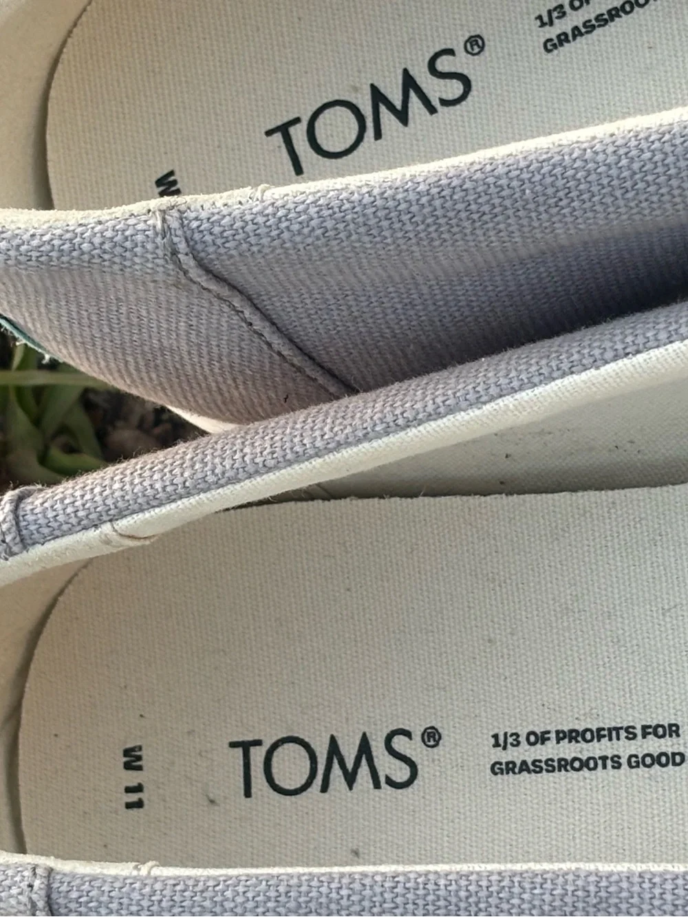 Toms grey canvas